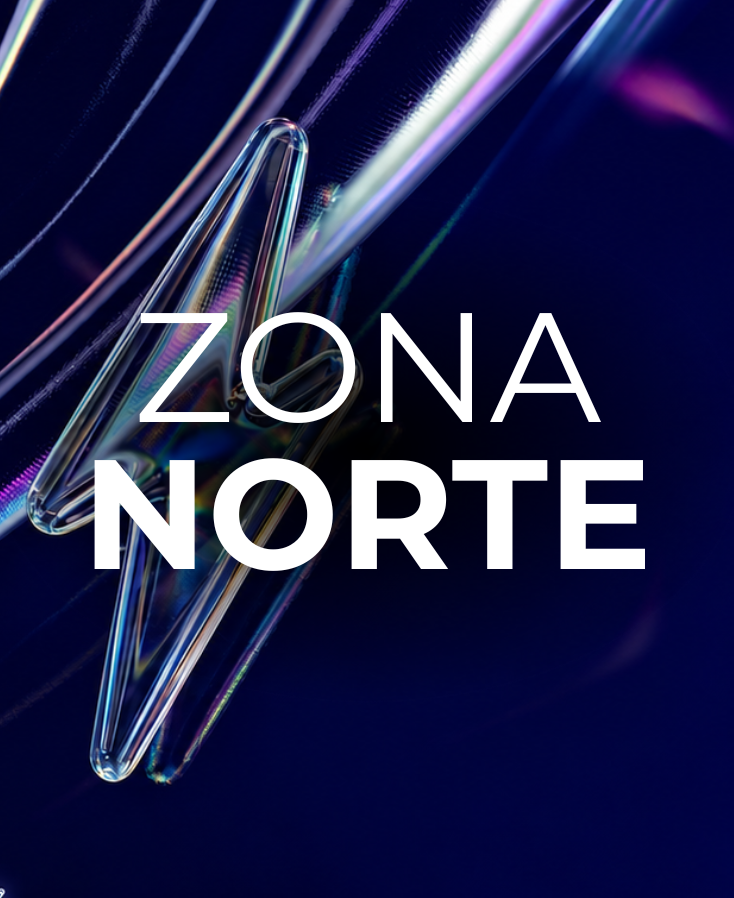 zona norte