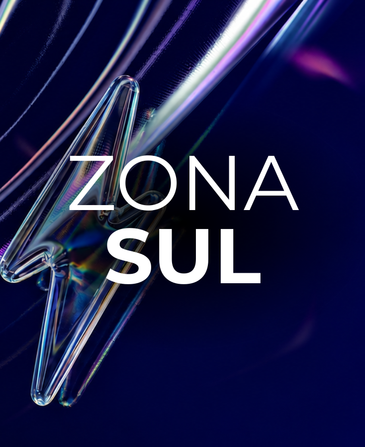 zona sul